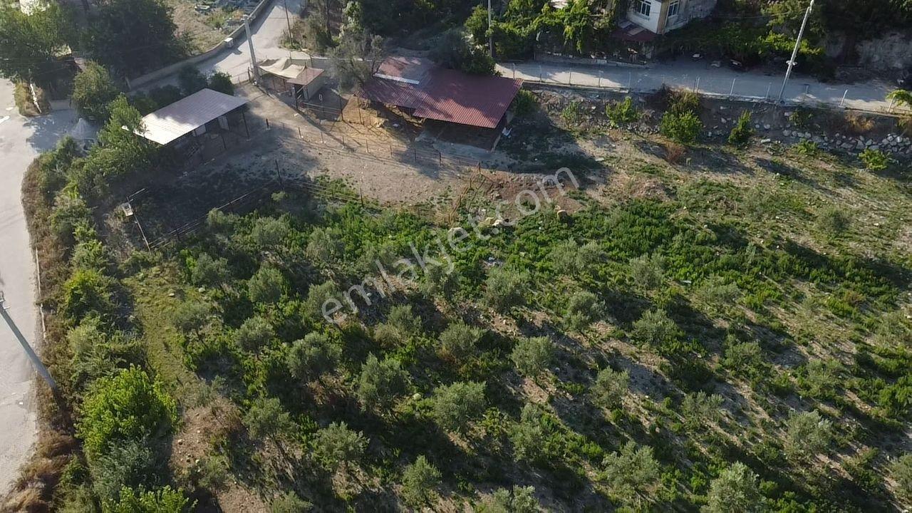 Seydikemer Kadıköyde Kaçırılmayacak Yatırım Ve Yaşam Fırsatı - Görsel 23