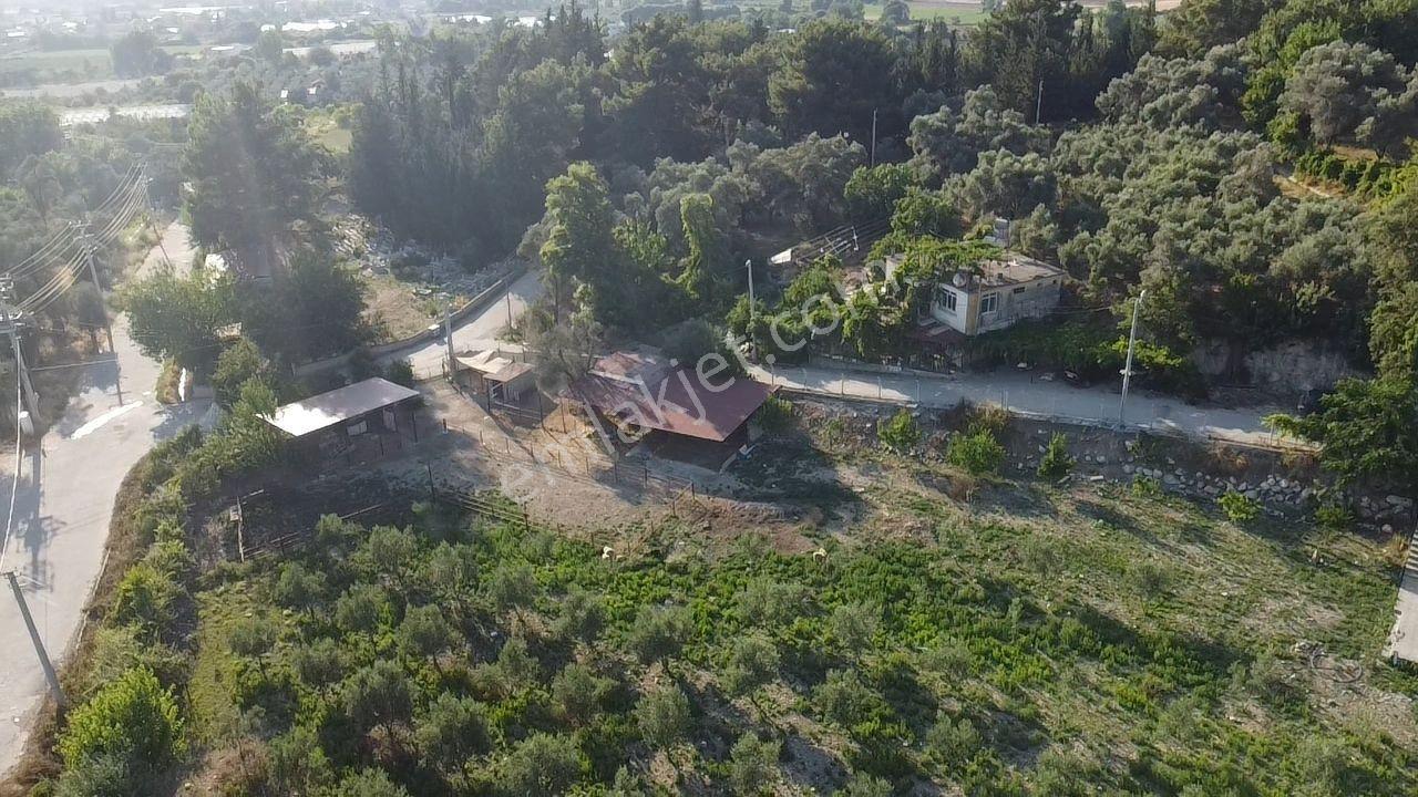 Seydikemer Kadıköyde Kaçırılmayacak Yatırım Ve Yaşam Fırsatı - Görsel 7