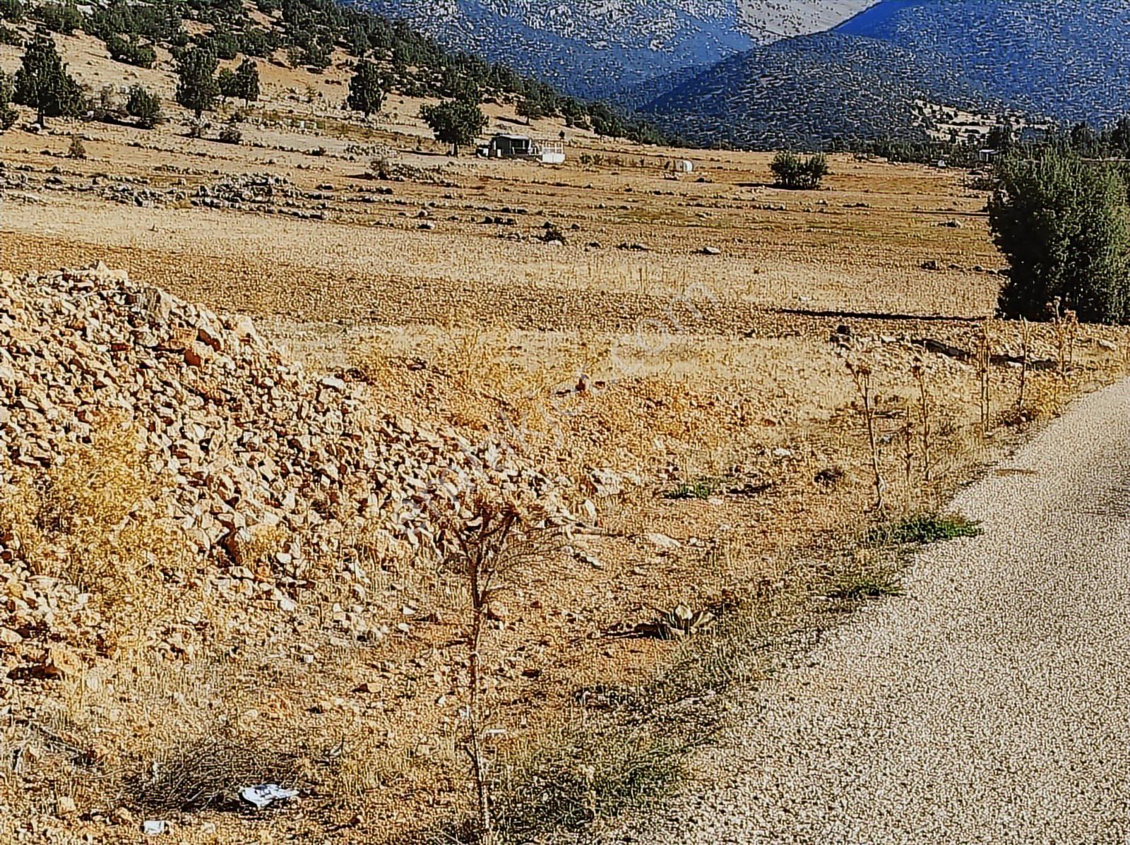 Korkuteli'nde Yola Cephe Tarla - Görsel 3