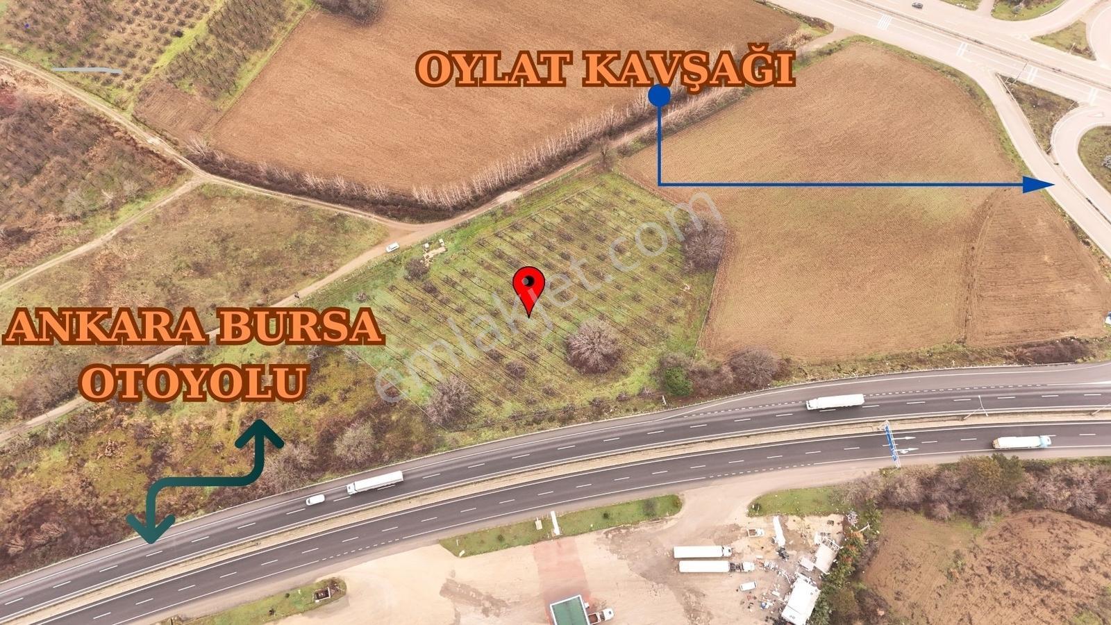 Ankara Asvaltına Cebhe Satılık Ceviz Bahçesi - Görsel 23