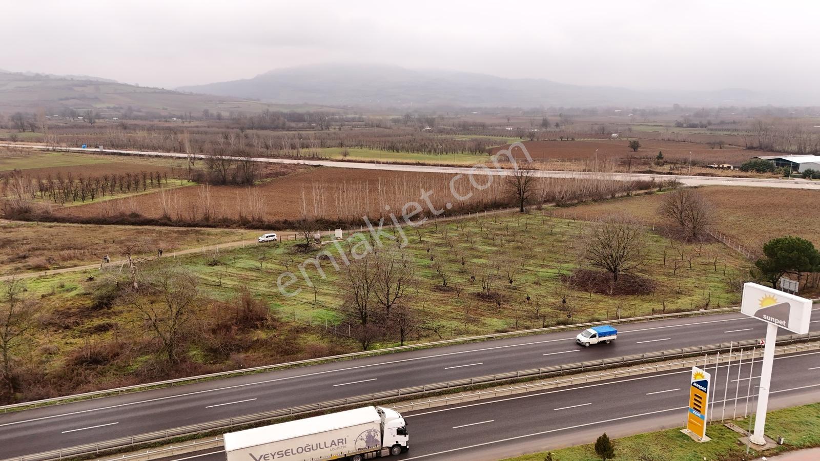 Ankara Asvaltına Cebhe Satılık Ceviz Bahçesi - Görsel 11