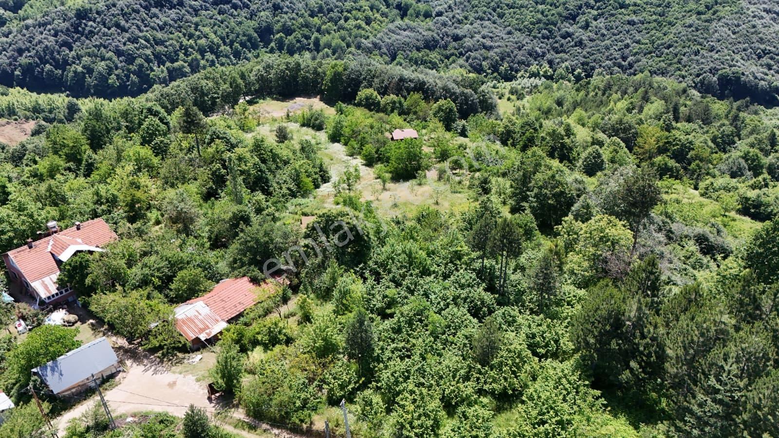Doğa İçinde Satılık Müstakil Ahşap Ev Ve Bahçesi - Görsel 15
