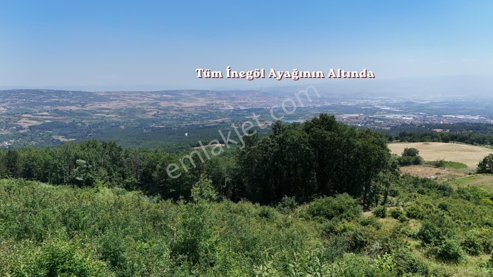 Esenköyde Eşsiz Manzaralı Satılık Arazi - Görsel 23