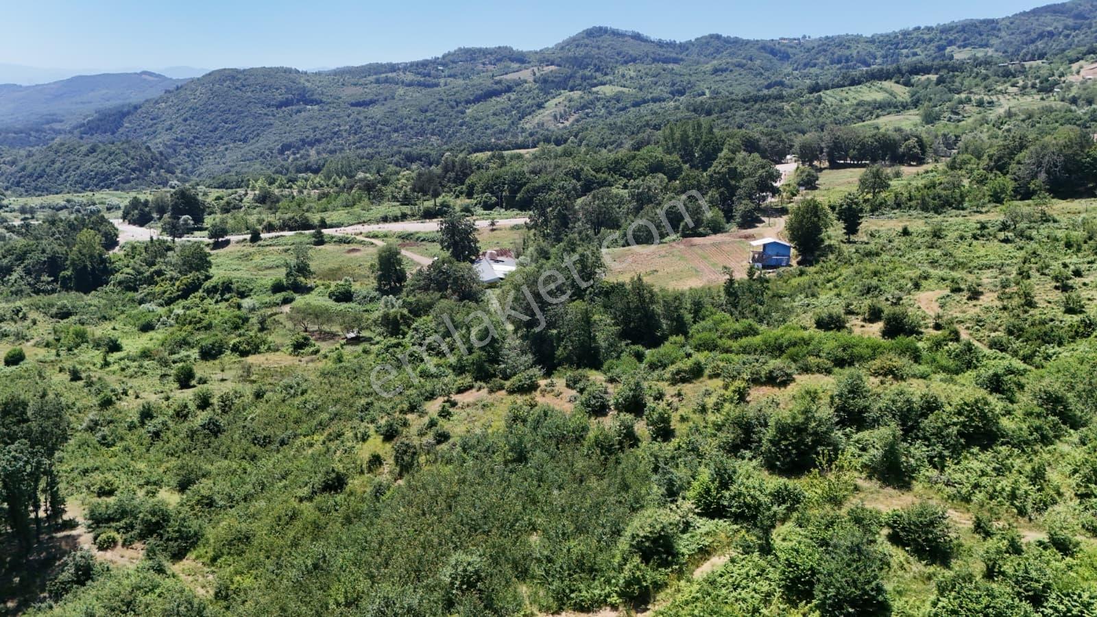 Esenköyde Eşsiz Manzaralı Satılık Arazi - Görsel 12