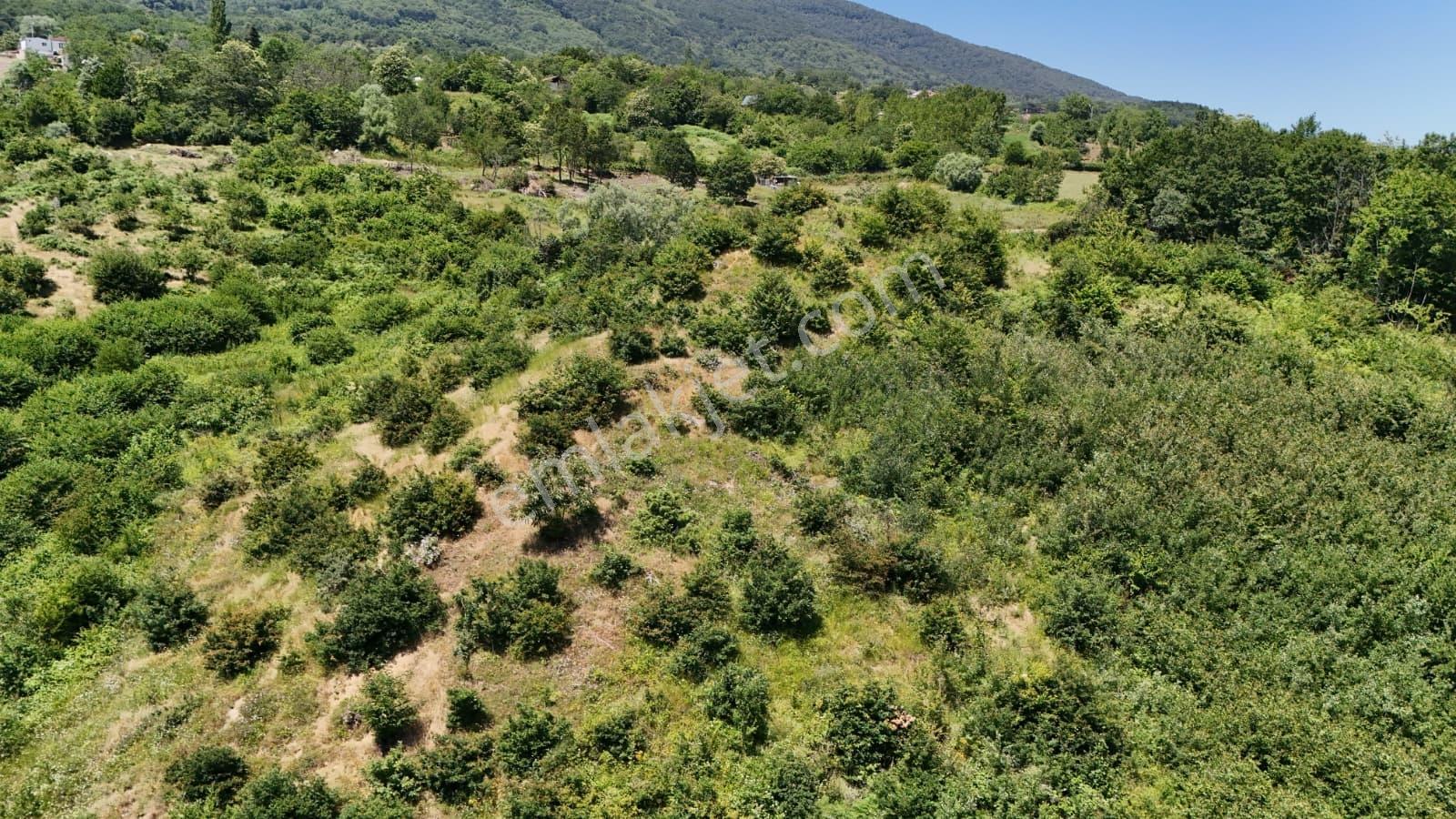 Esenköyde Eşsiz Manzaralı Satılık Arazi - Görsel 24