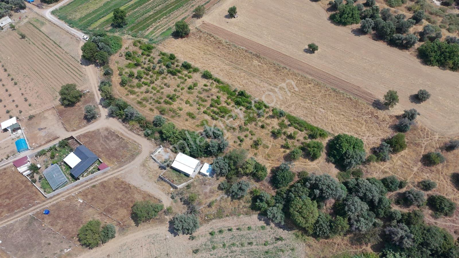 Geleceğe Yatırım: Menderes Dereköy’de Tek Tapu 2353m² Tarla - Görsel 5