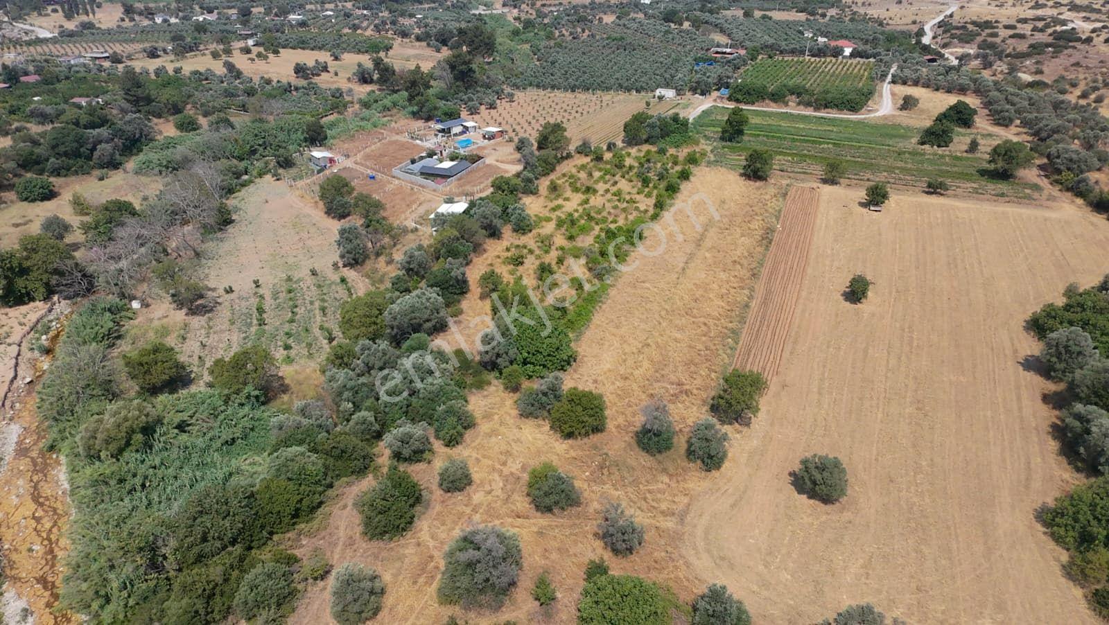 Geleceğe Yatırım: Menderes Dereköy’de Tek Tapu 2353m² Tarla - Görsel 8