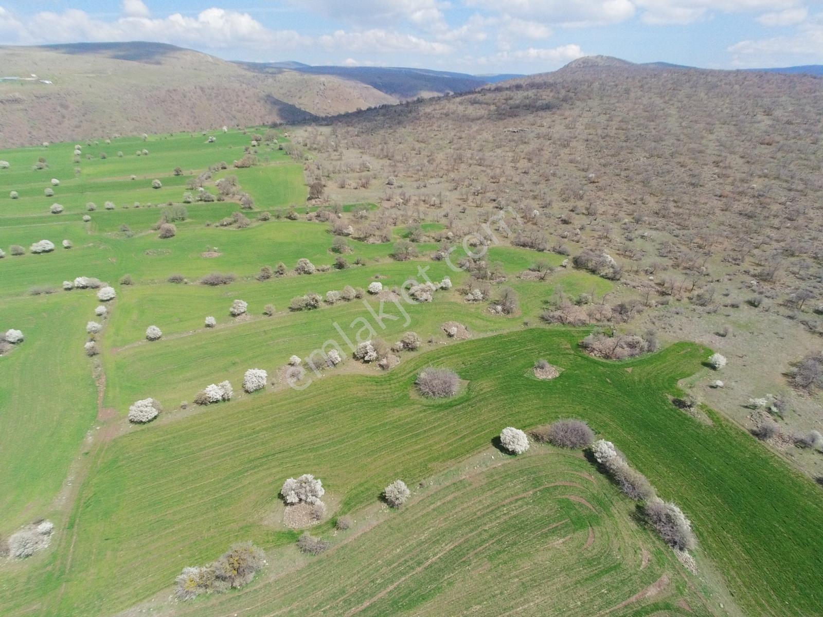 Ayaşta Tek Tapu 3.325 M2 Çok Uygun Fiyata Tarla - Görsel 7