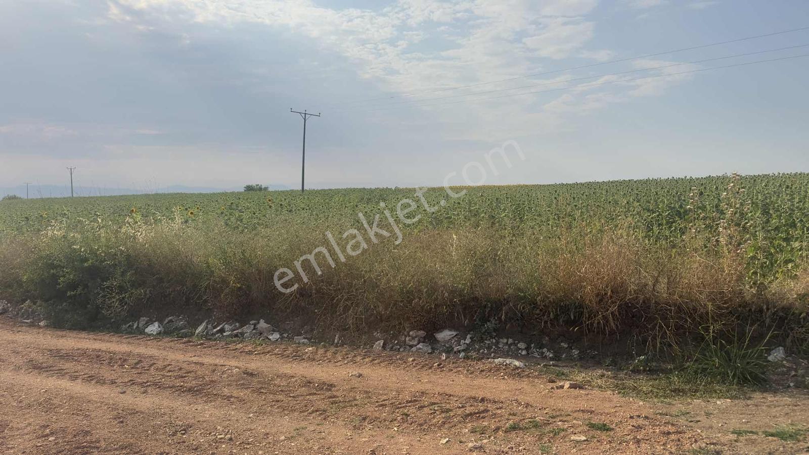 Karacaahmet'de Satılık 2385m2 Tek Tapu Dümdüz Arazi Mıcırlı Yol - Görsel 6