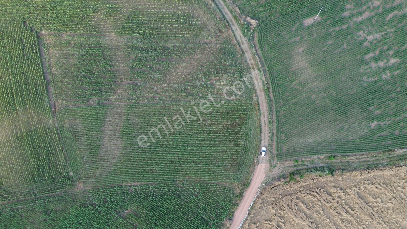 Karacaahmet'de Satılık 2385m2 Tek Tapu Dümdüz Arazi Mıcırlı Yol - Görsel 3