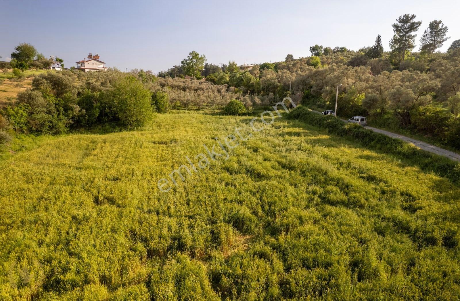 Seydiler Mah. {821m2 Köyiçi Arsa} İlçe Merkez Çarşıya 2km - Görsel 17