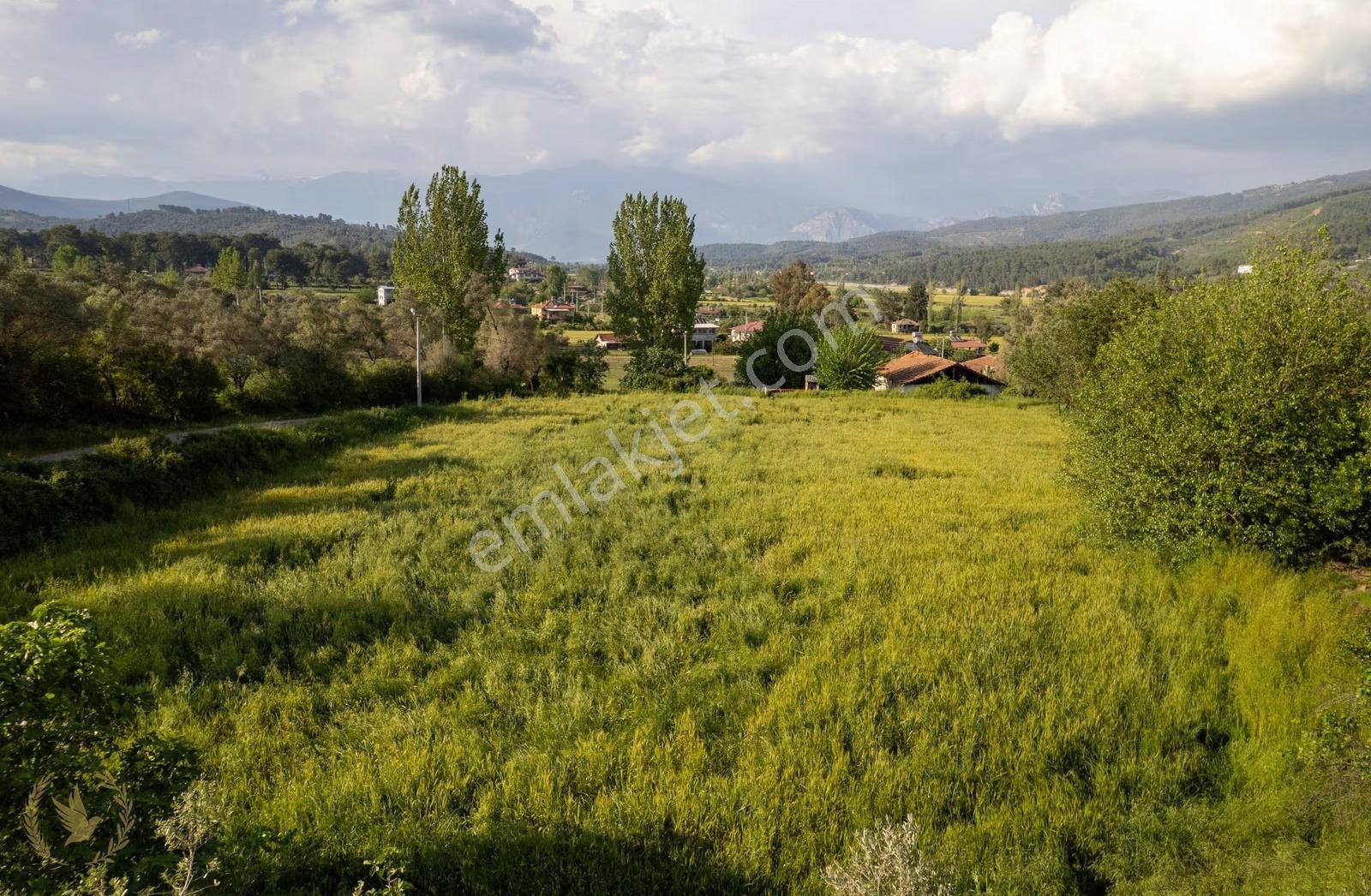 Seydiler Mah. {821m2 Köyiçi Arsa} İlçe Merkez Çarşıya 2km - Görsel 5