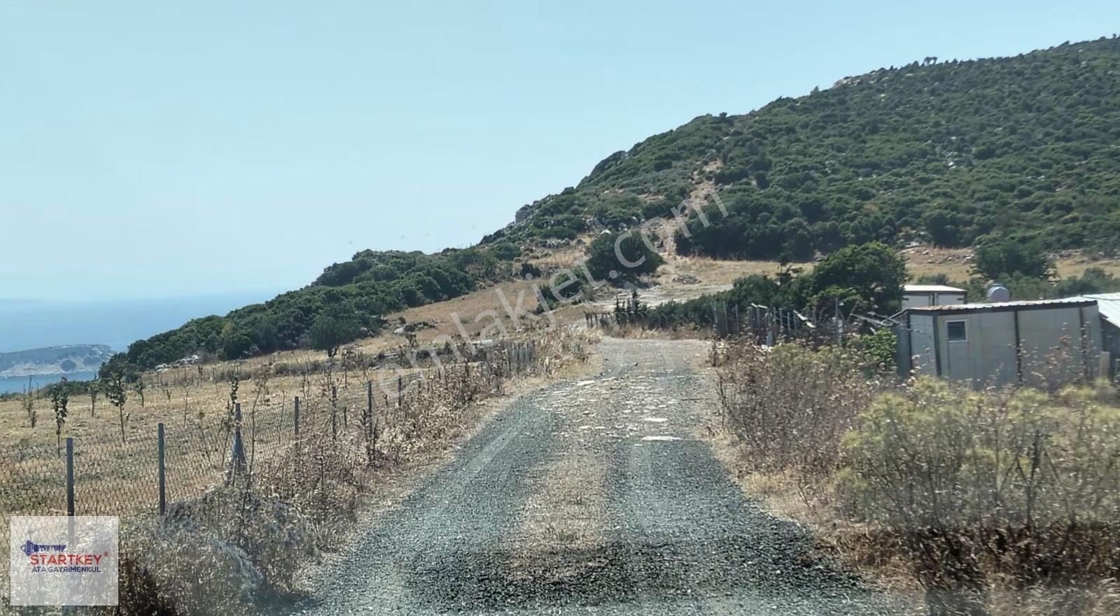 Karaburun Bozköy Alanbağ'nda Satılık Tarla - Görsel 15