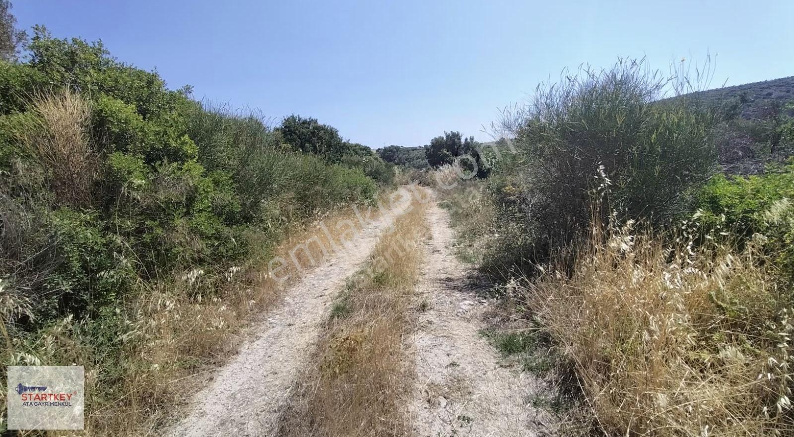 Karaburun Bozköy Alanbağ'nda Satılık Tarla - Görsel 11