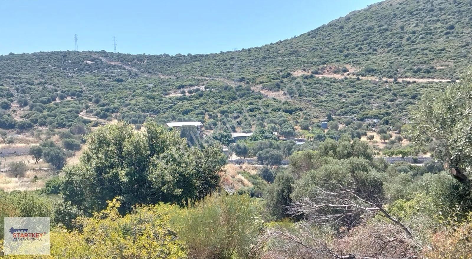 Karaburun Bozköy Alanbağ'nda Satılık Tarla - Görsel 6
