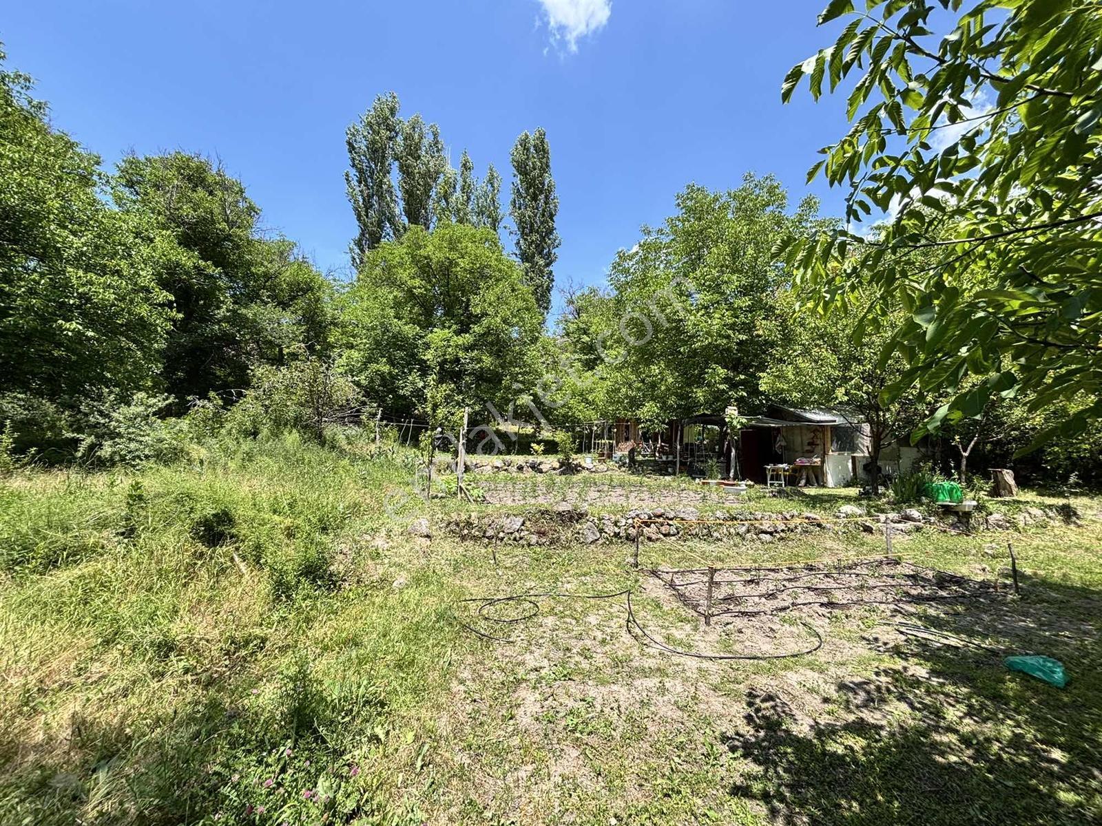 Gesi Vekse Mah.koramaz Vadisi İçi 860 M2 Tek Tapu Satılık - Görsel 5