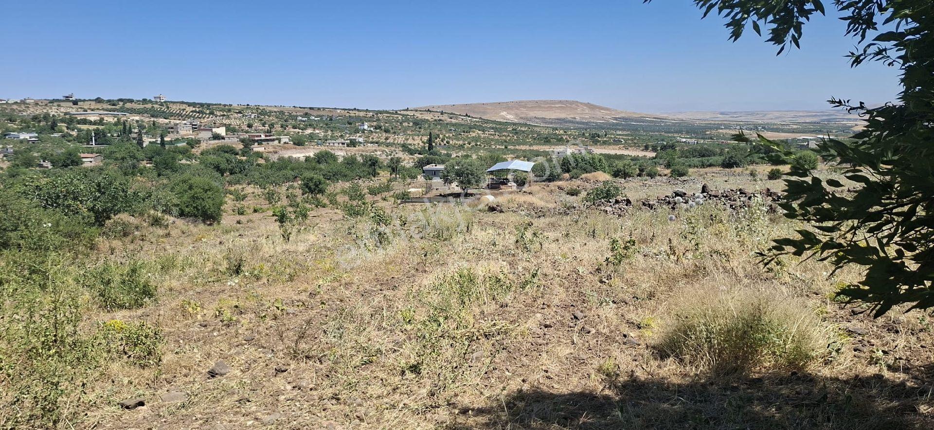 Mav Emlaktan Satılık Tarla - Görsel 4