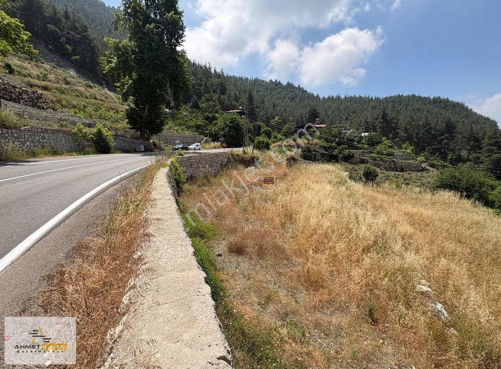 Ahmet Kara'dan Toroslar Aladağ Borçak 2667 M2 Satılık Arsa - Görsel 5