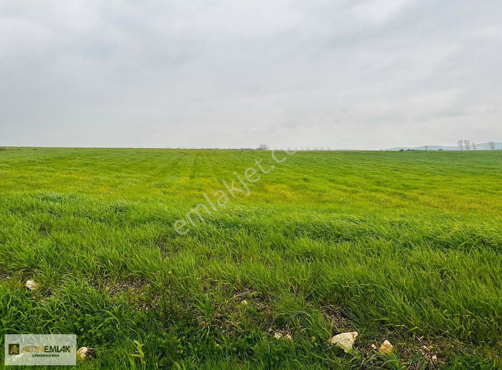 Biga Yeniçiftlikte Köye Ve Yola Yakın Satılık 4.701 M² Tarla - Görsel 8