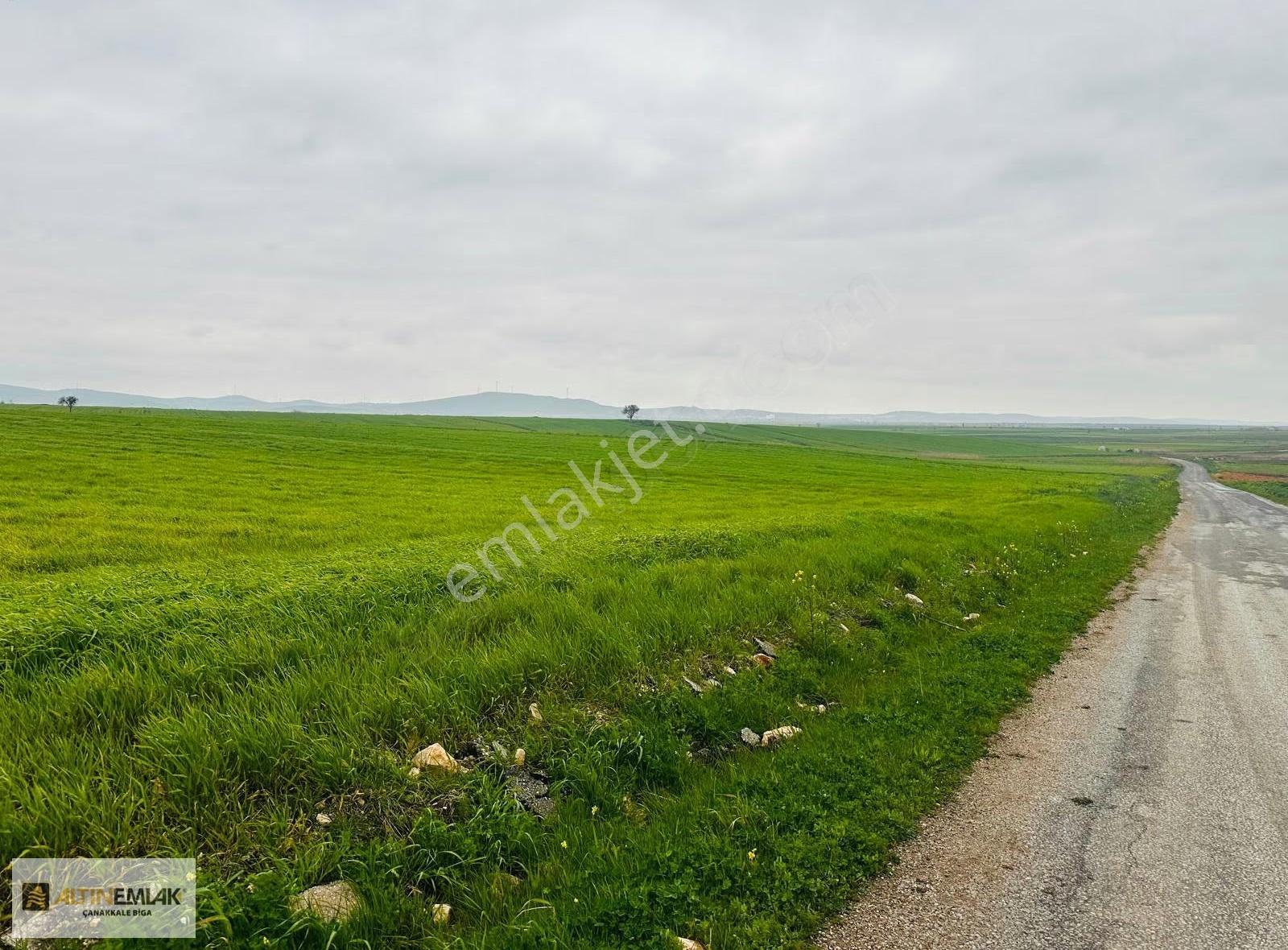 Biga Yeniçiftlikte Köye Ve Yola Yakın Satılık 4.701 M² Tarla - Görsel 13