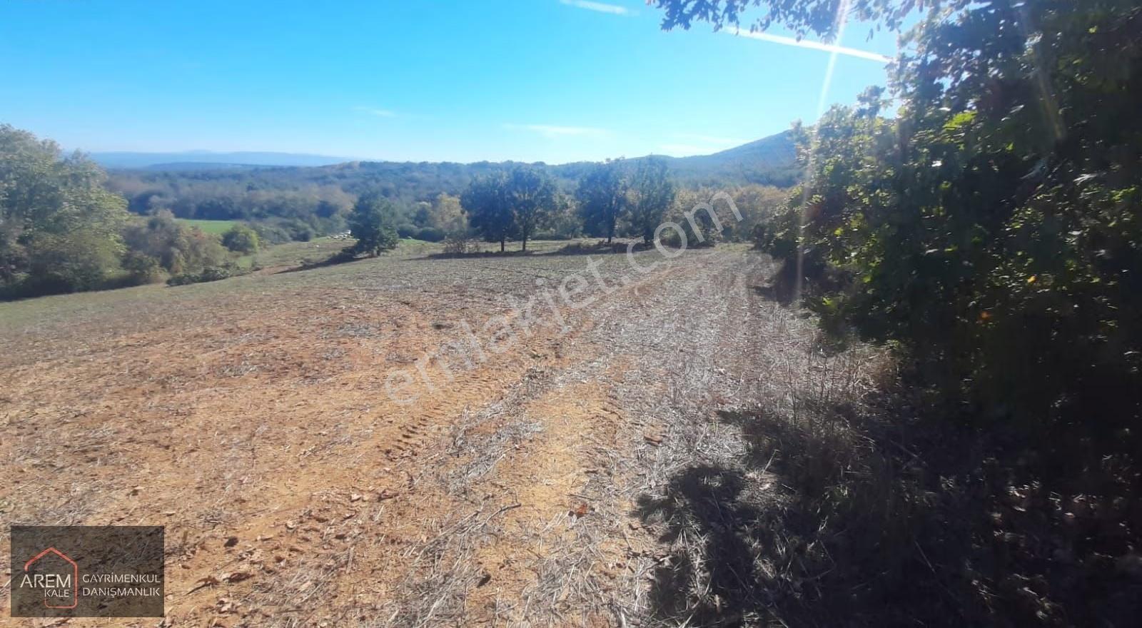 Biga Kozçeşme'de Satılık 9.450 M² Tarla - Görsel 5