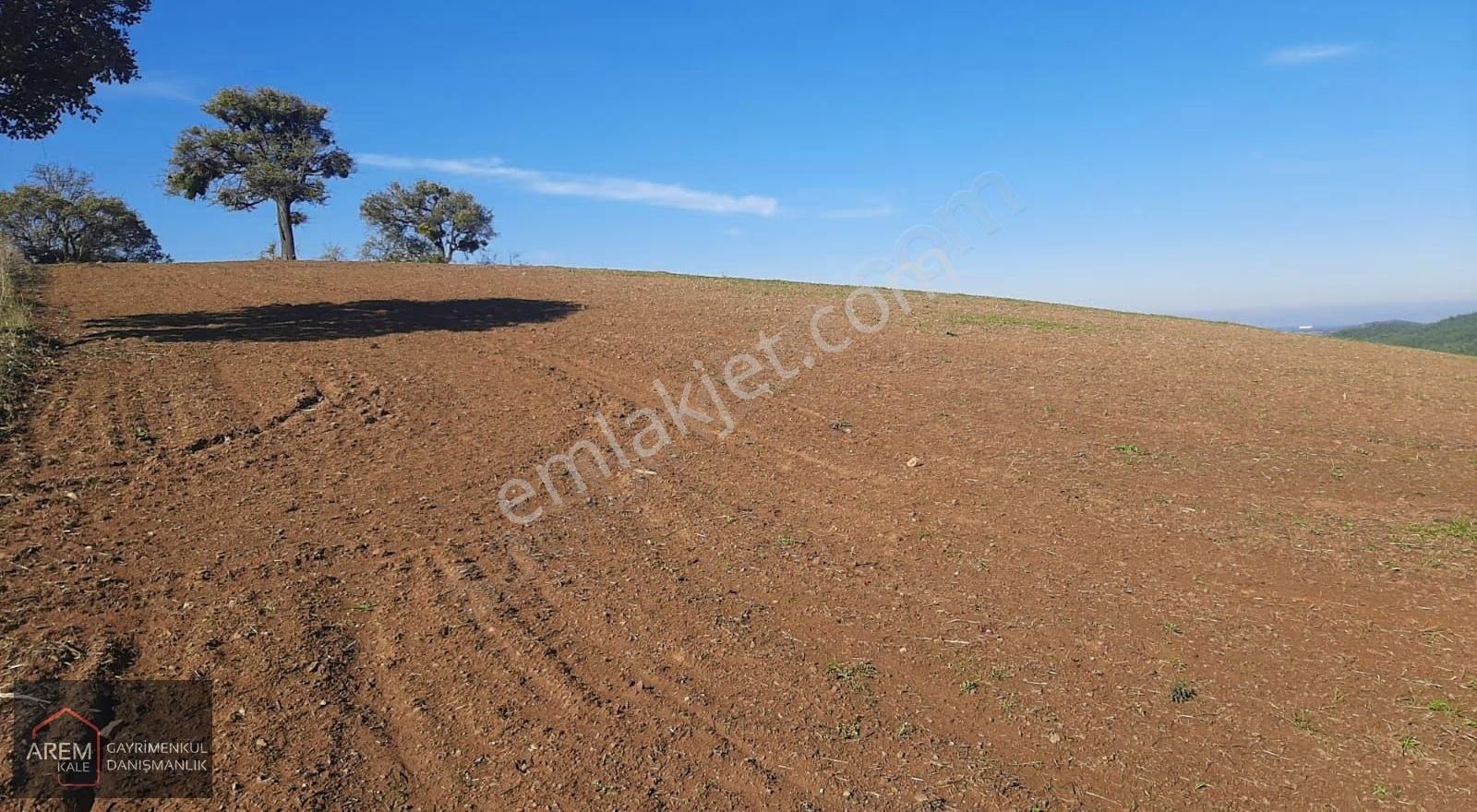 Lapseki Dişbudak'ta 3.790 M² Yatırımlık Tarla - Görsel 9