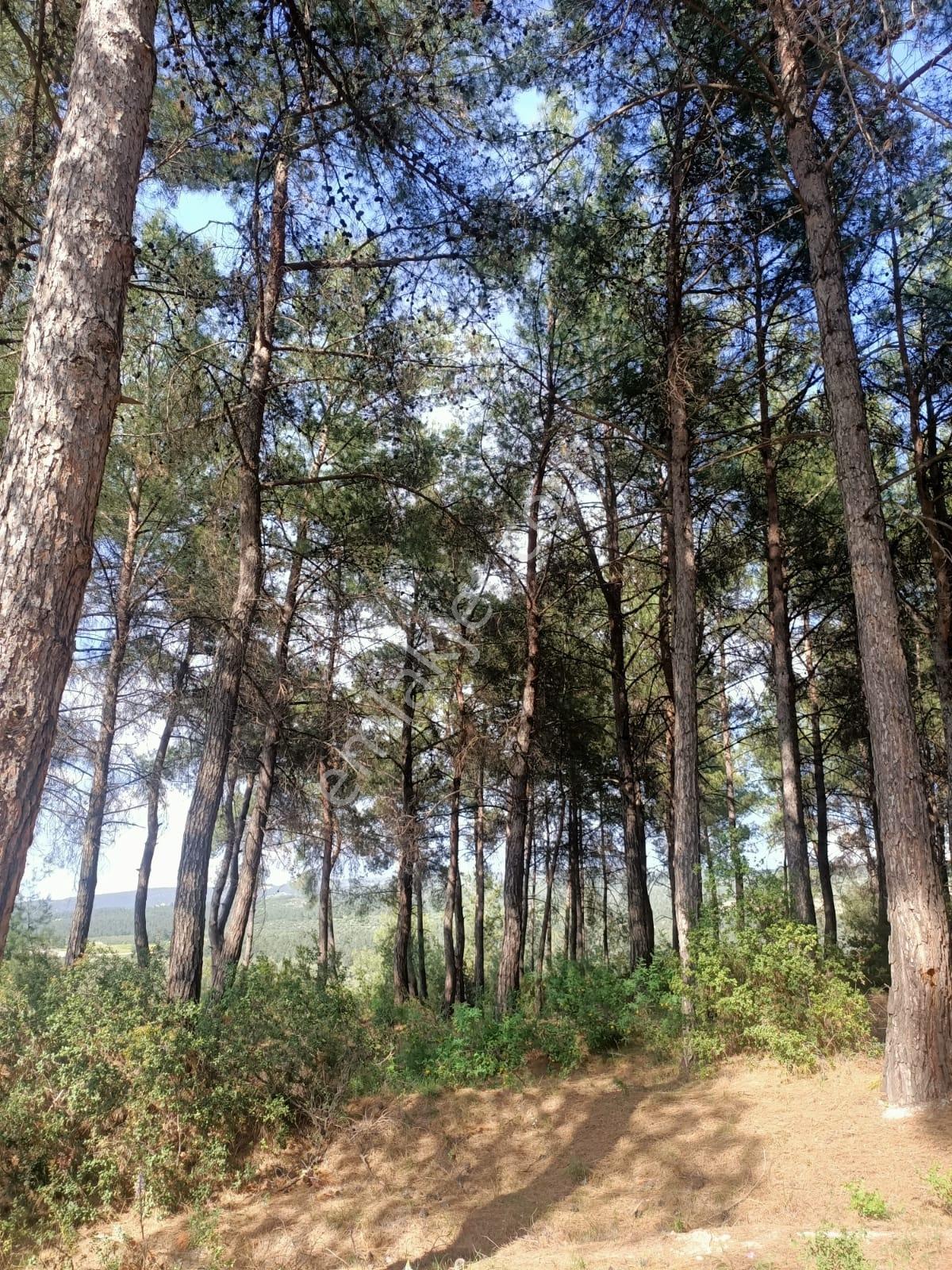 İmarlı Satılık Yatırımlık Arsa - Görsel 22
