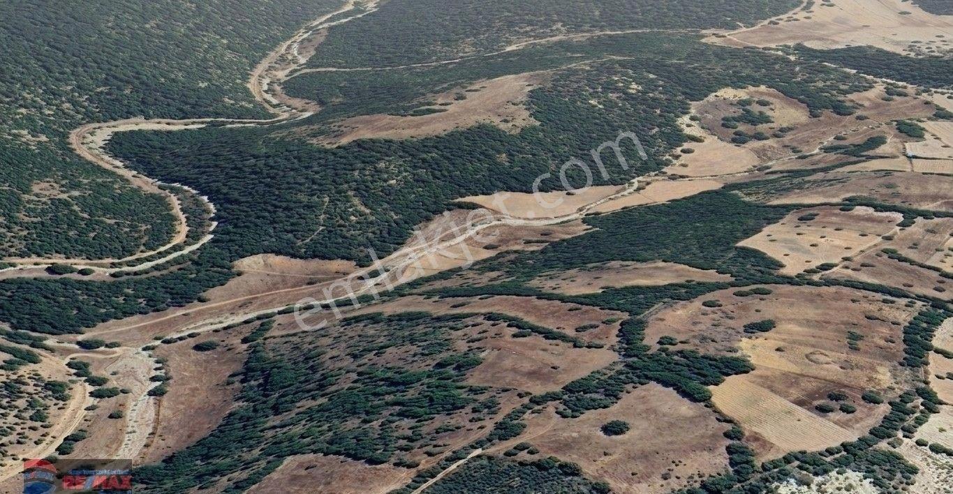 Re/max İnci'den Dursunbey Turnacık Mah. Satılık 5.682 M² Tarla