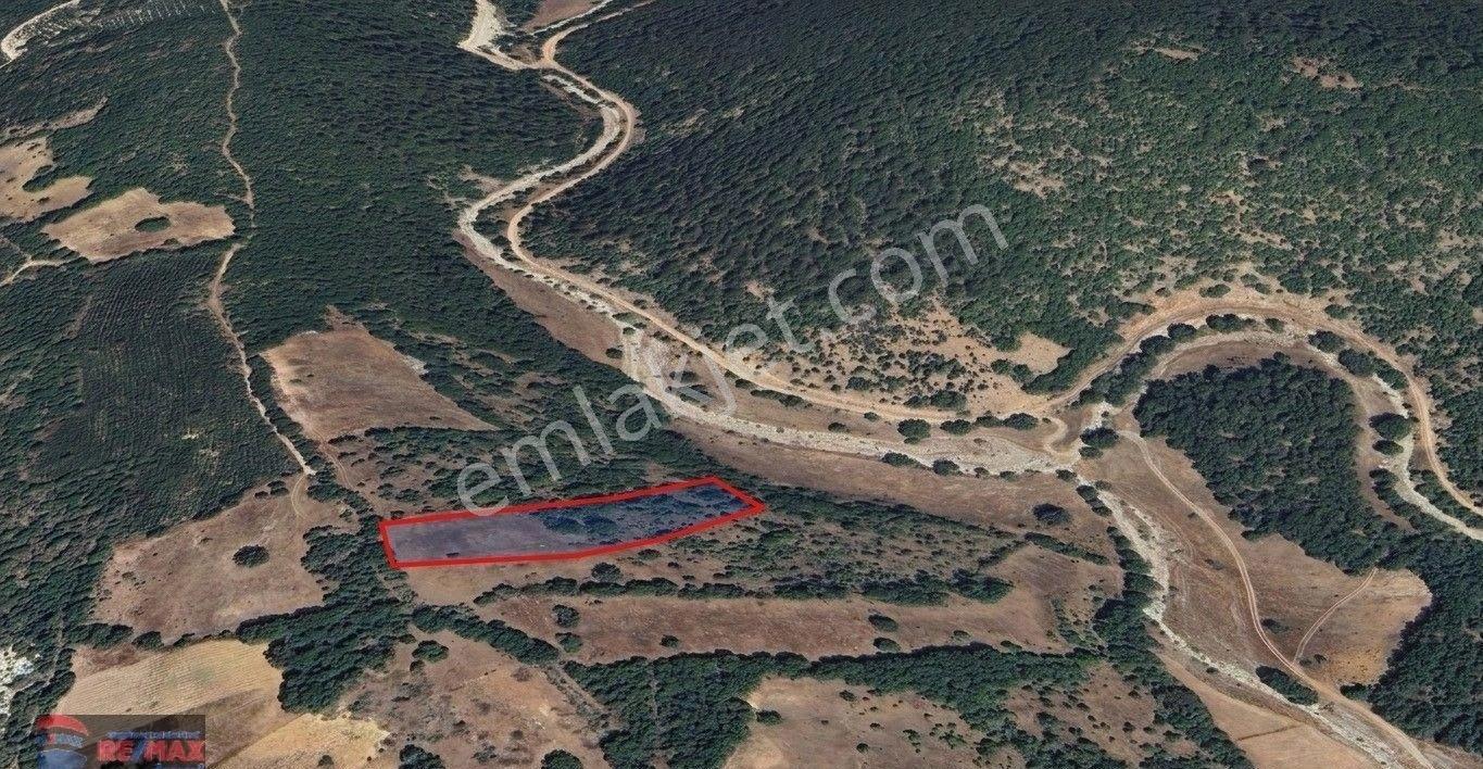 Re/max İnci'den Dursunbey Turnacık Mah. Satılık 5.682 M² Tarla - Görsel 20
