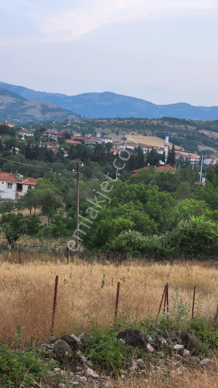Balıkesir Sındırgı'da 2.428 M2 Yerleşim İçinde Düz Fırsat Arazi - Görsel 6