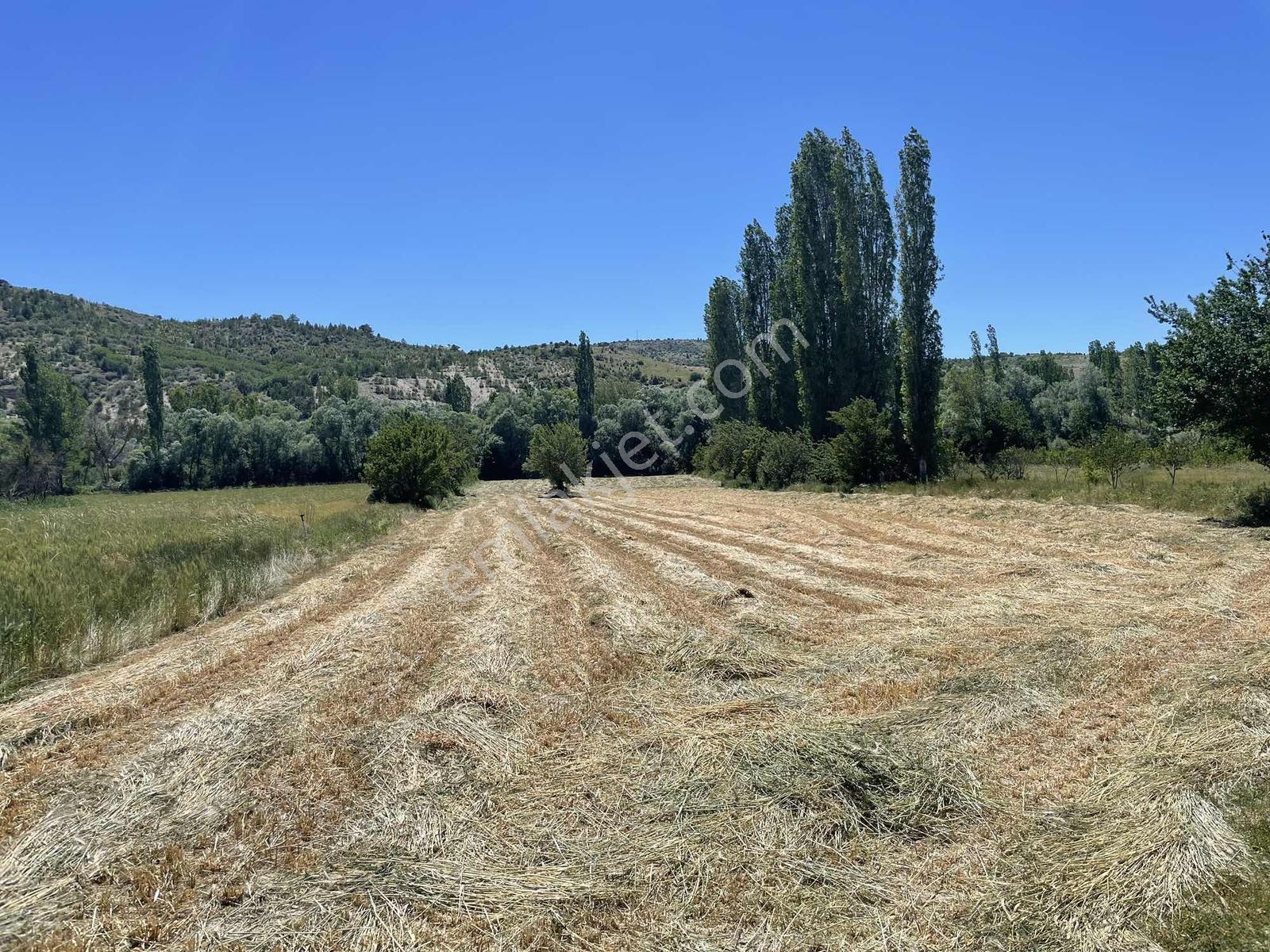 Selçuklu Başarakavak Mahallesi 7.881 M² Müstakil Satılık Tarla - Görsel 8
