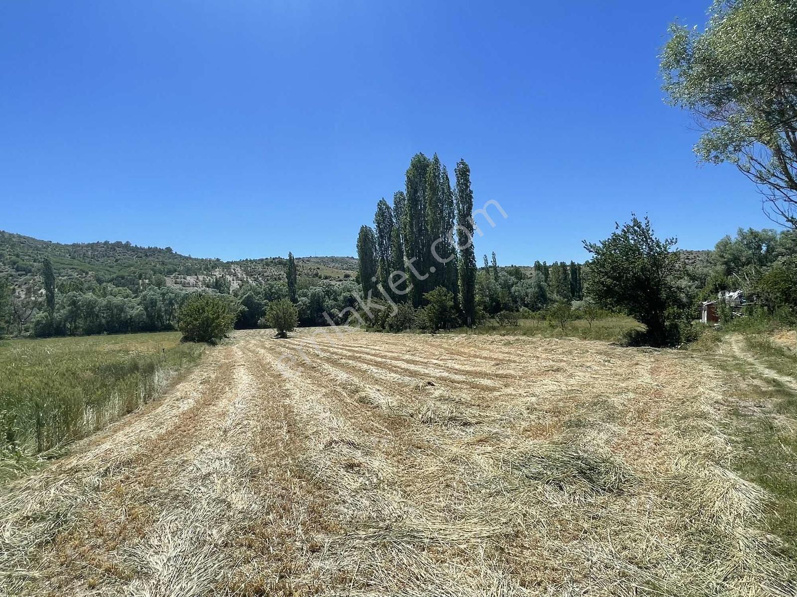 Selçuklu Başarakavak Mahallesi 7.881 M² Müstakil Satılık Tarla