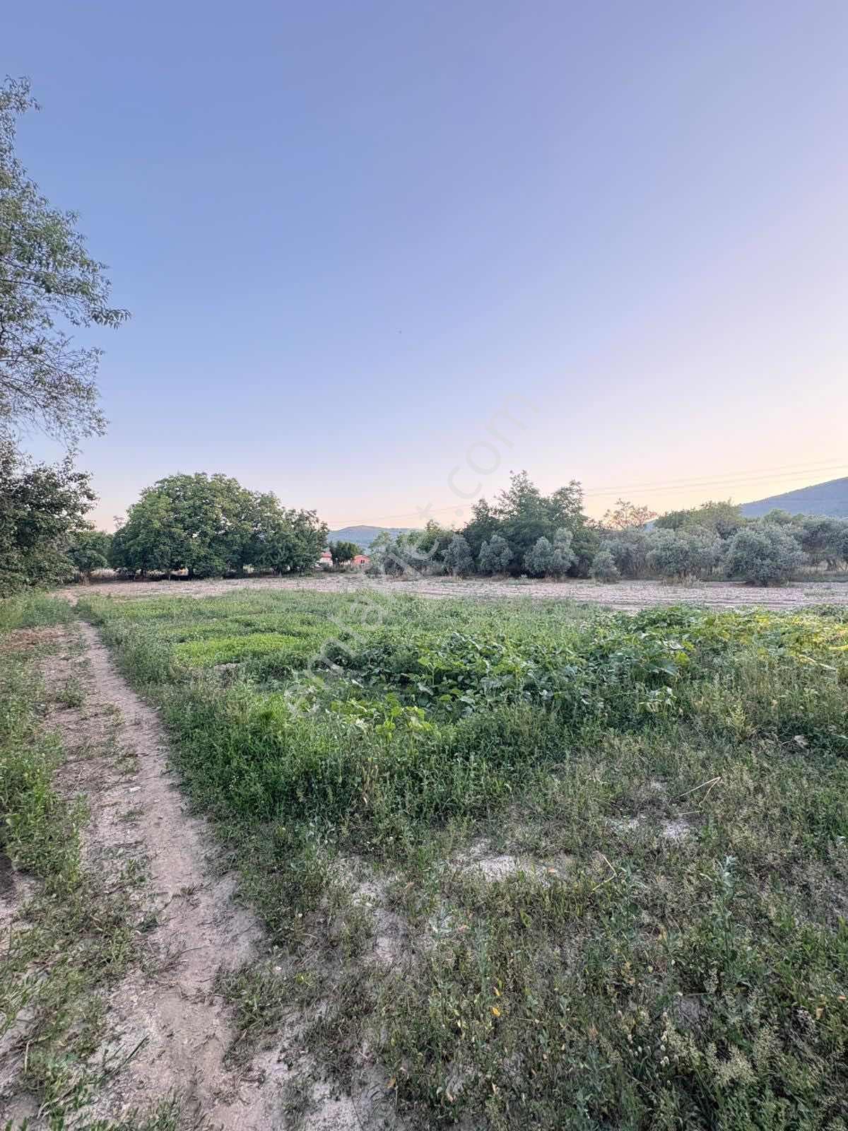 Muğla Menteşe Yeşilyurt Mah. Satılık Ev Ve 3.228 M2 Arazi - Görsel 13