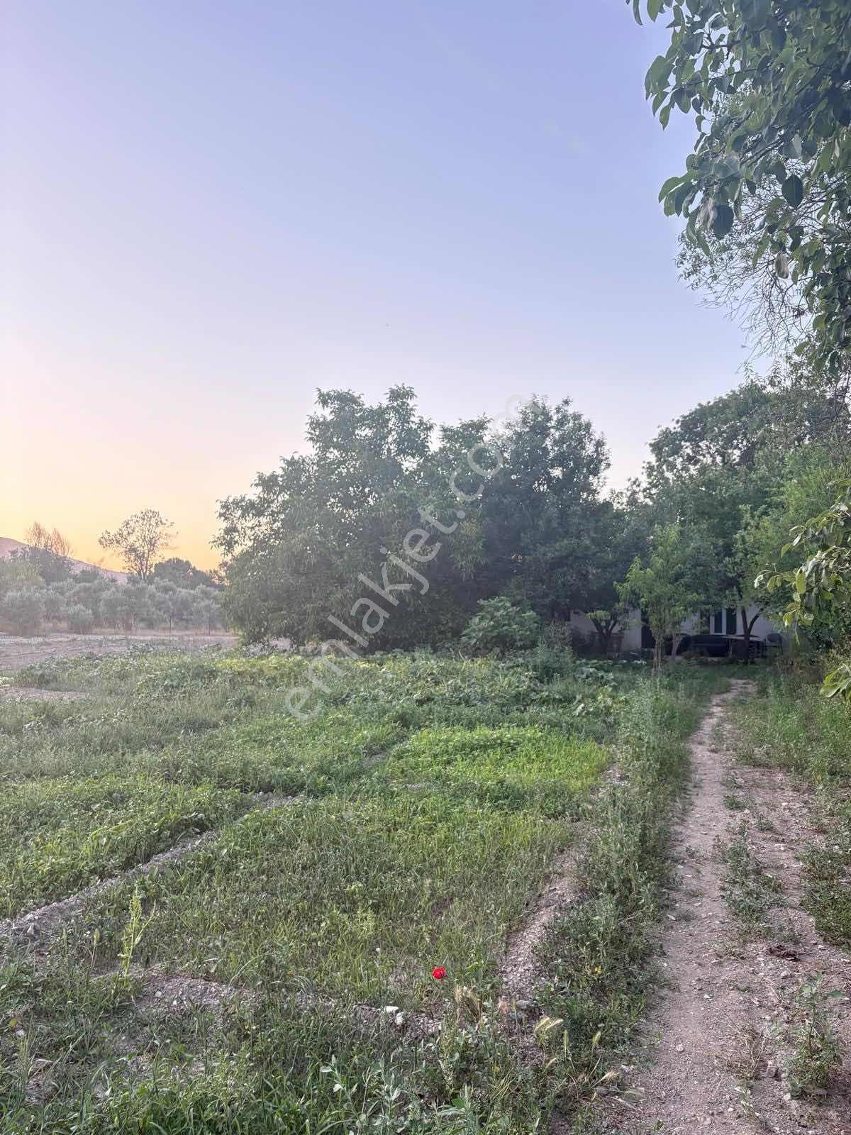 Muğla Menteşe Yeşilyurt Mah. Satılık Ev Ve 3.228 M2 Arazi - Görsel 6