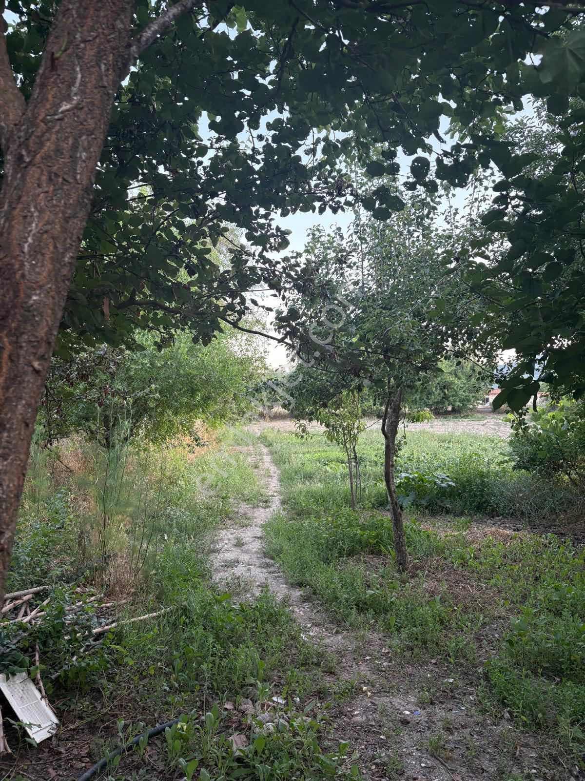 Muğla Menteşe Yeşilyurt Mah. Satılık Ev Ve 3.228 M2 Arazi - Görsel 7