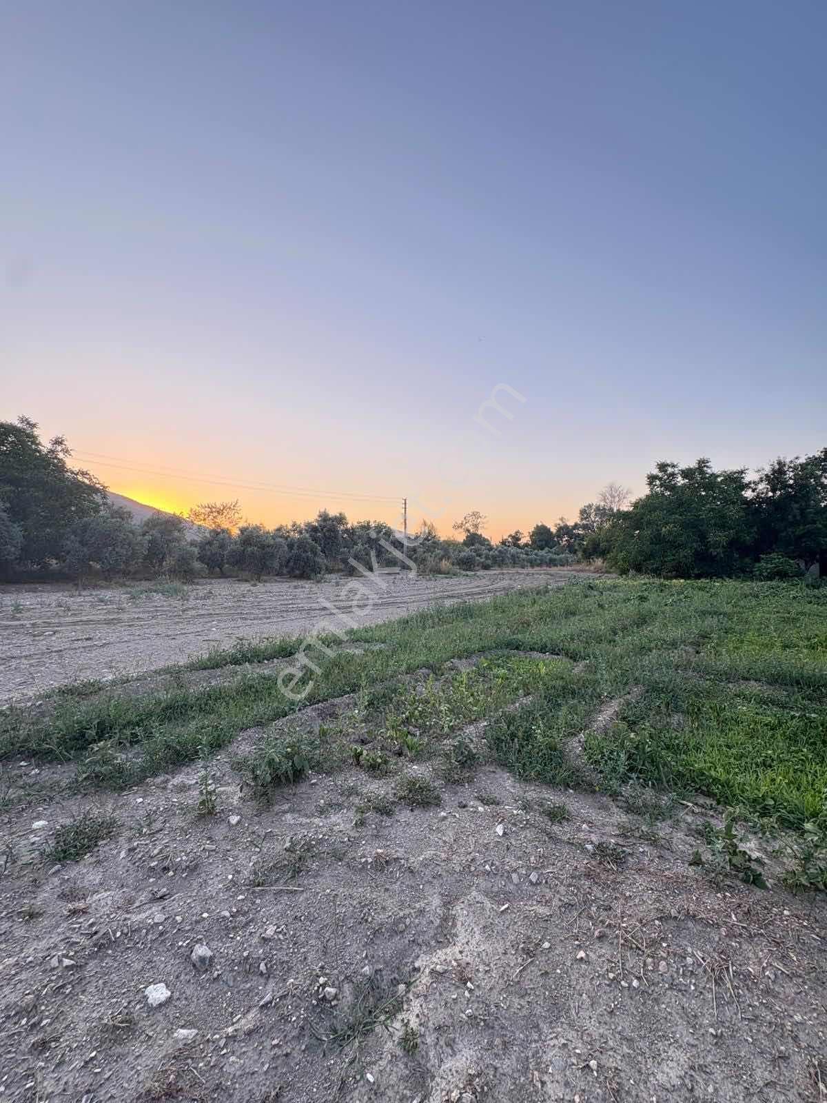 Muğla Menteşe Yeşilyurt Mah. Satılık Ev Ve 3.228 M2 Arazi - Görsel 32