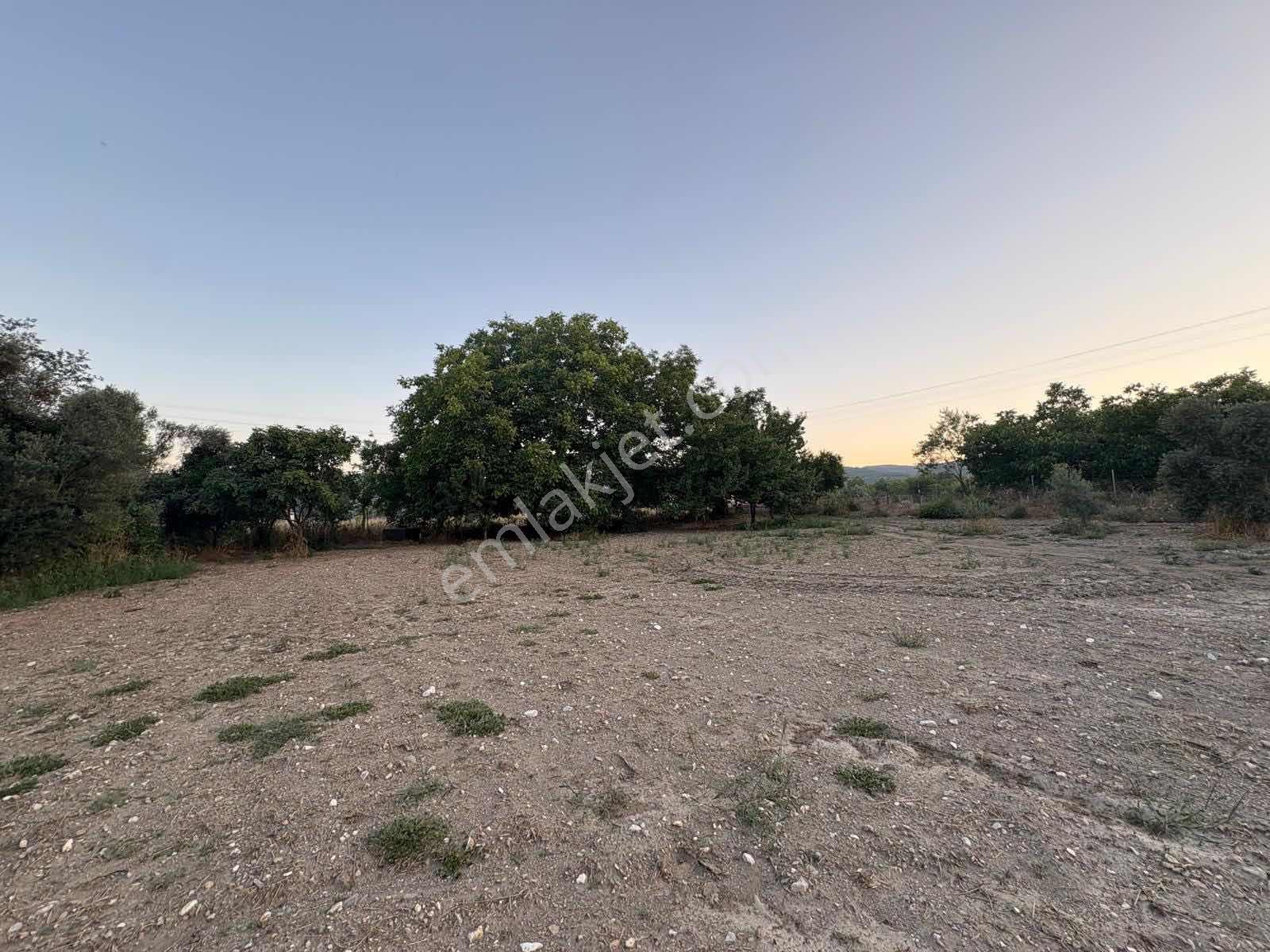 Muğla Menteşe Yeşilyurt Mah. Satılık Ev Ve 3.228 M2 Arazi - Görsel 31
