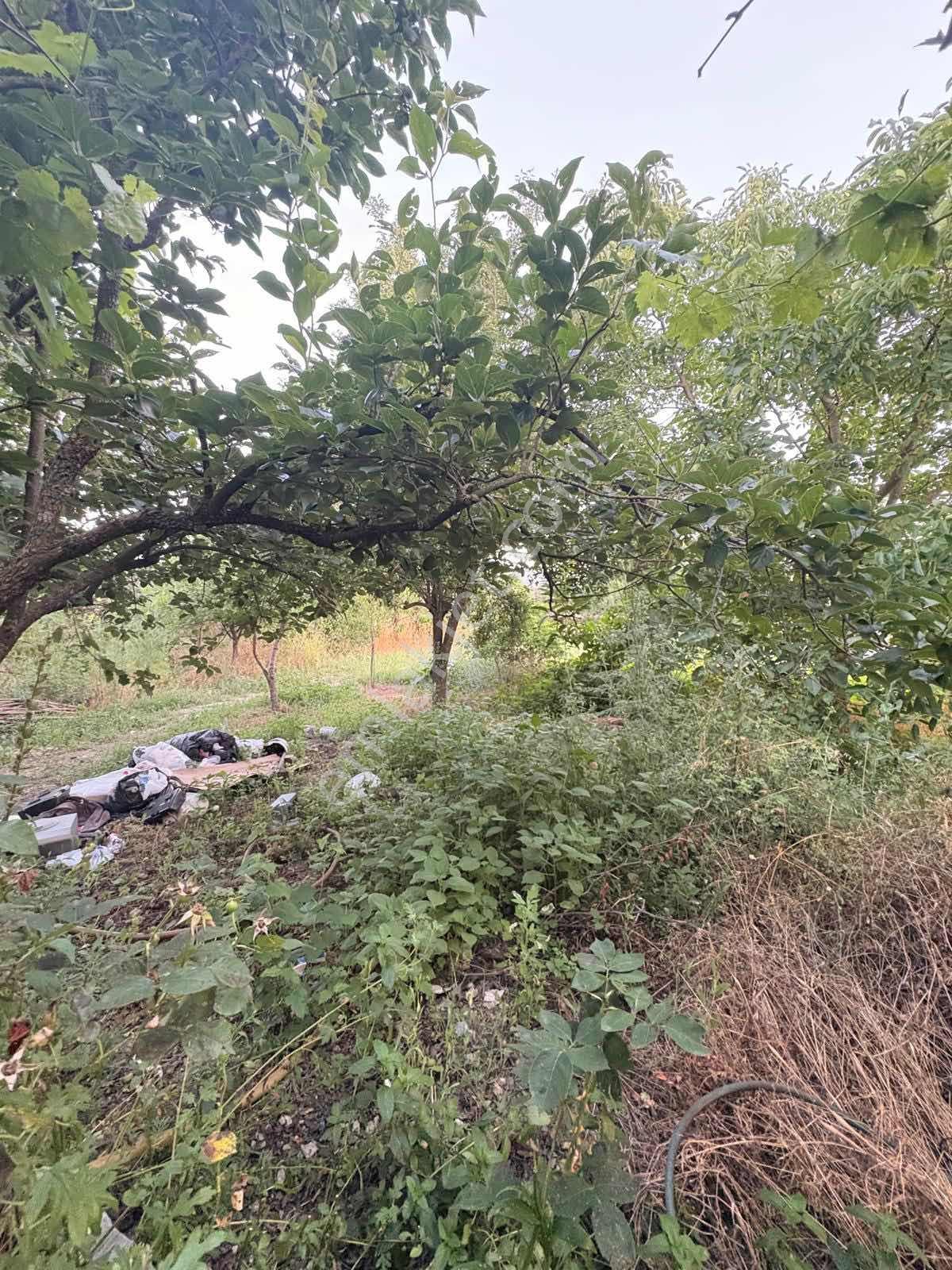 Muğla Menteşe Yeşilyurt Mah. Satılık Ev Ve 3.228 M2 Arazi - Görsel 19