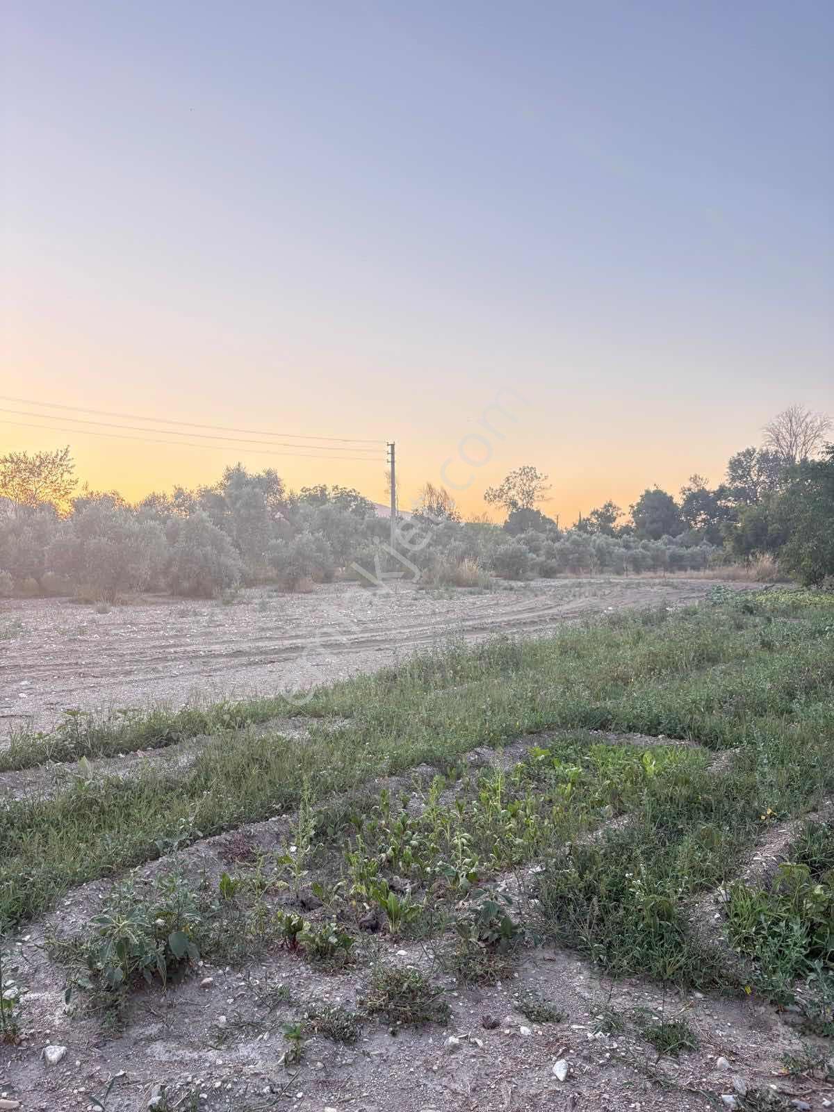 Muğla Menteşe Yeşilyurt Mah. Satılık Ev Ve 3.228 M2 Arazi - Görsel 14