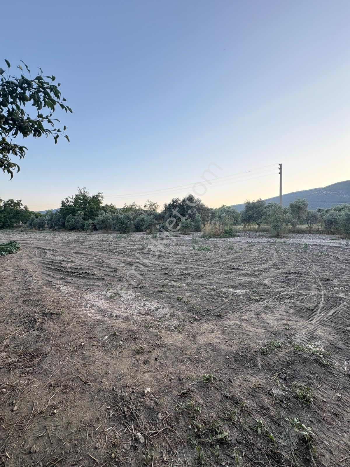 Muğla Menteşe Yeşilyurt Mah. Satılık Ev Ve 3.228 M2 Arazi - Görsel 12