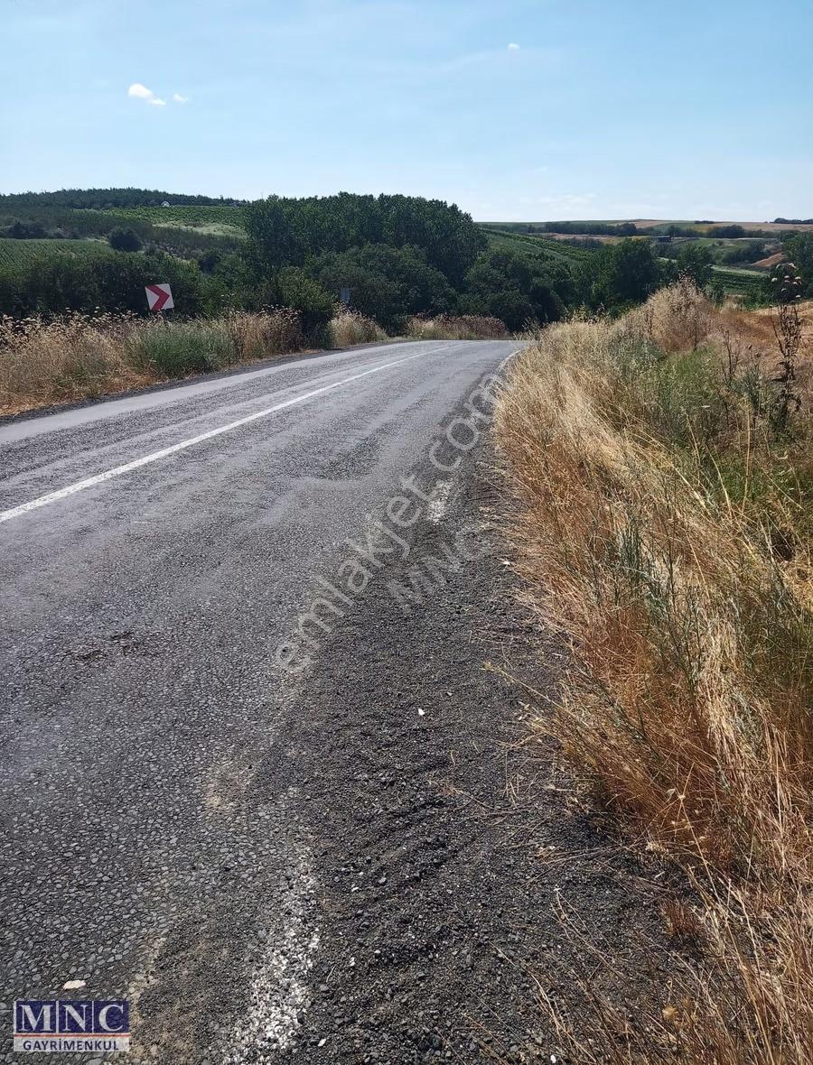 Tekirdağ Süleymanpaşa Karacakılavuz 8600 M2 Tarla - Görsel 8