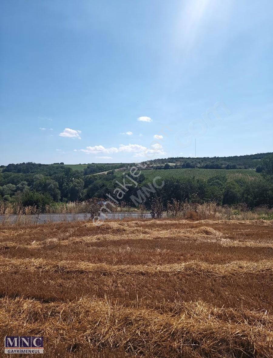 Tekirdağ Süleymanpaşa Karacakılavuz 8600 M2 Tarla - Görsel 4