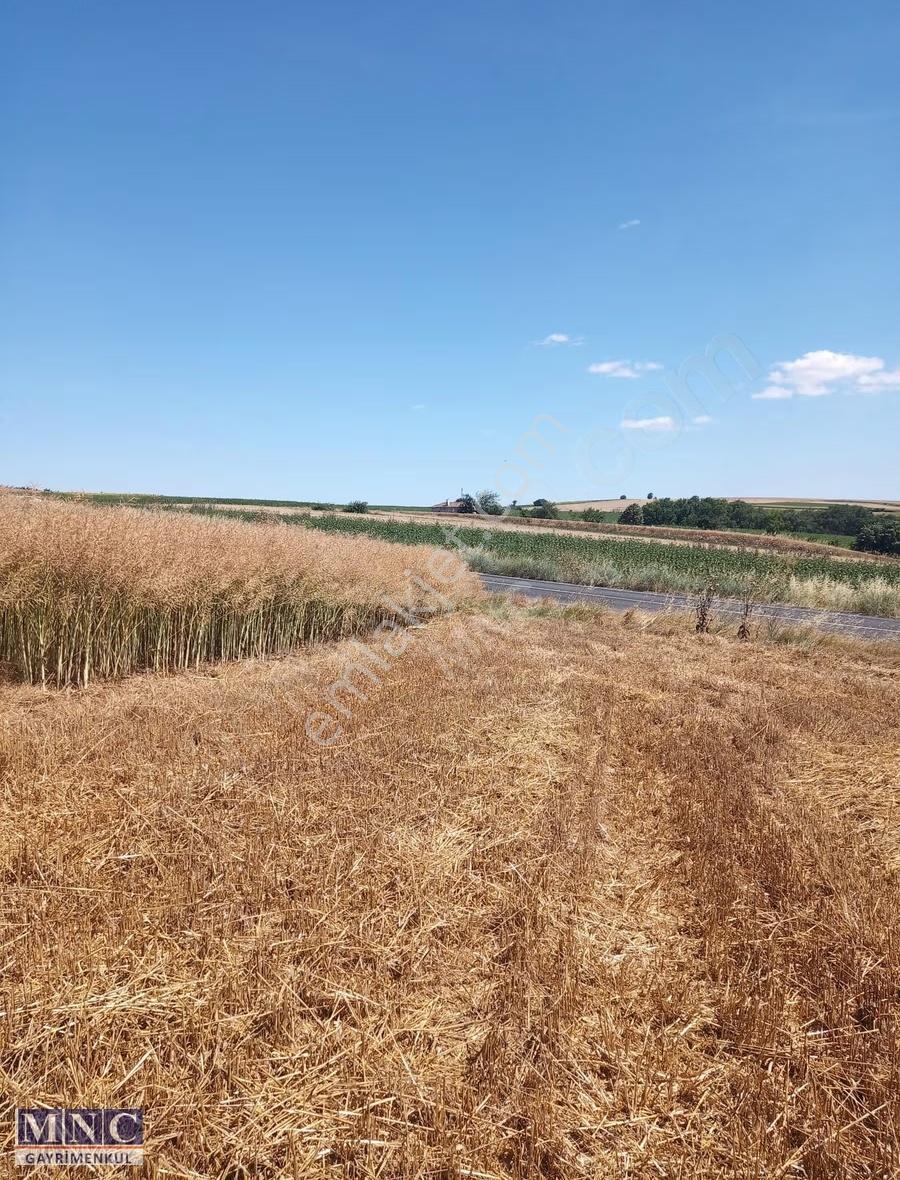 Tekirdağ Süleymanpaşa Karacakılavuz 8600 M2 Tarla - Görsel 7