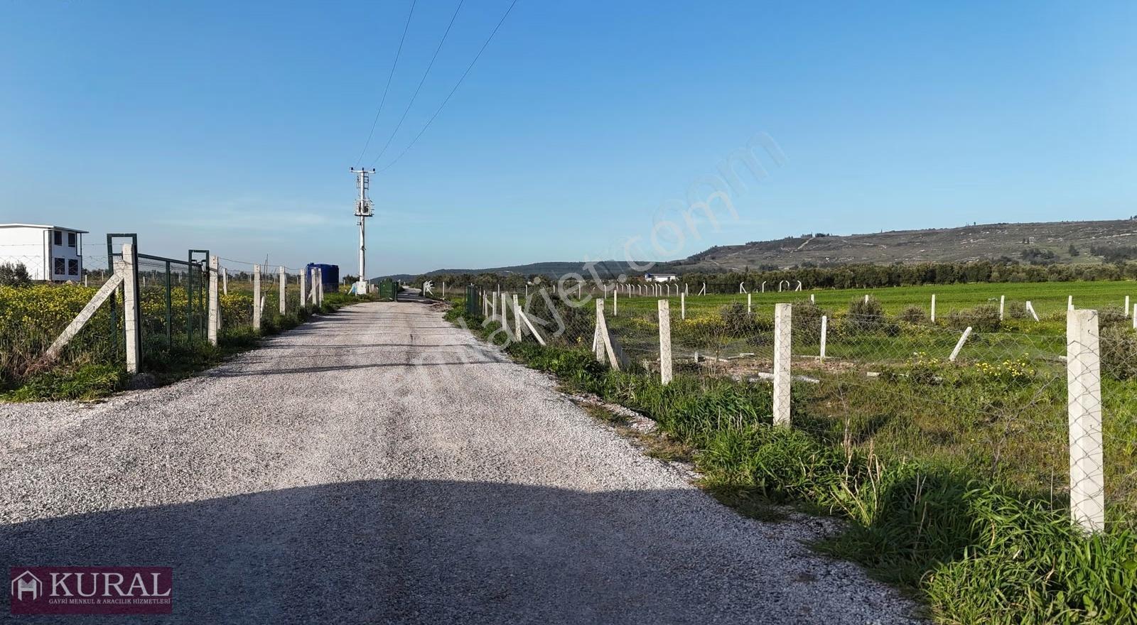 İzmir Menderes Tekeli 2 Ada 1 Parselde 30 Zeytin Ağaçlı 610m2 - Görsel 32