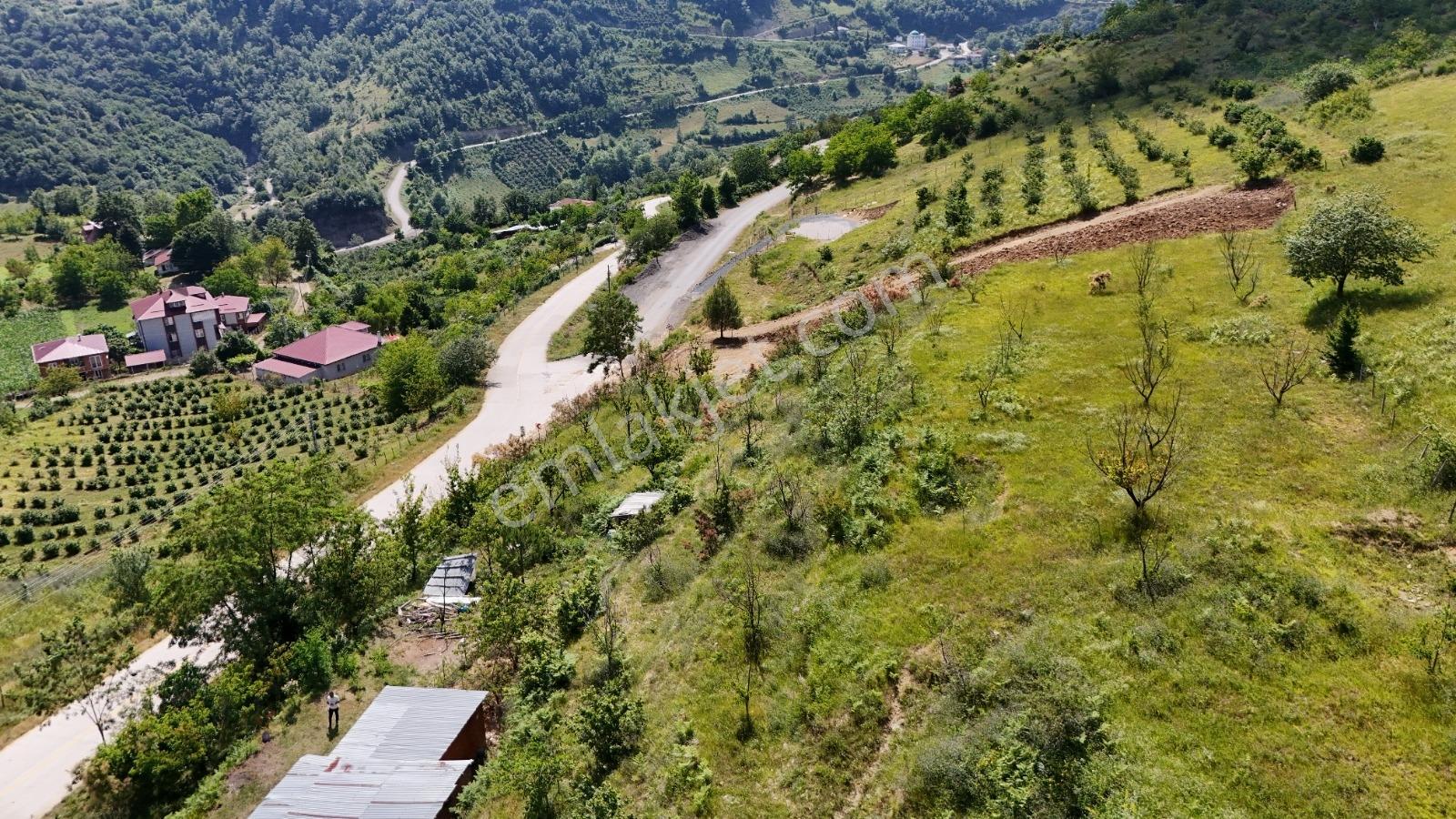 Bi·nova'dan Gölalan Şelaleleri Karşısında 993 M² Tarla Ve Ev - Görsel 13