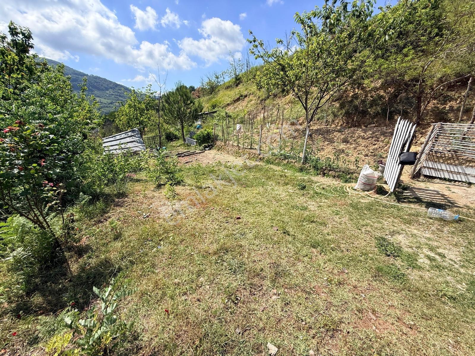 Bi·nova'dan Gölalan Şelaleleri Karşısında 993 M² Tarla Ve Ev - Görsel 19