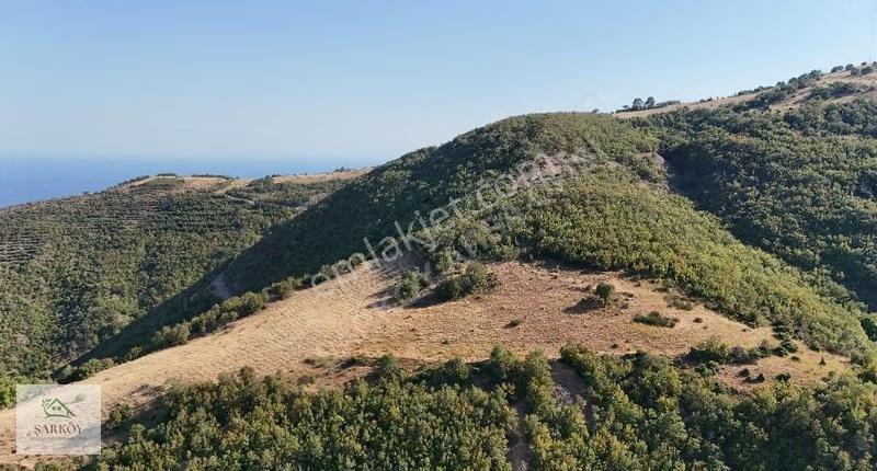 Uçmakderede 14878m² Doğa Ve Huzur İçinde Yatırımlık Büyük Arazi - Görsel 5
