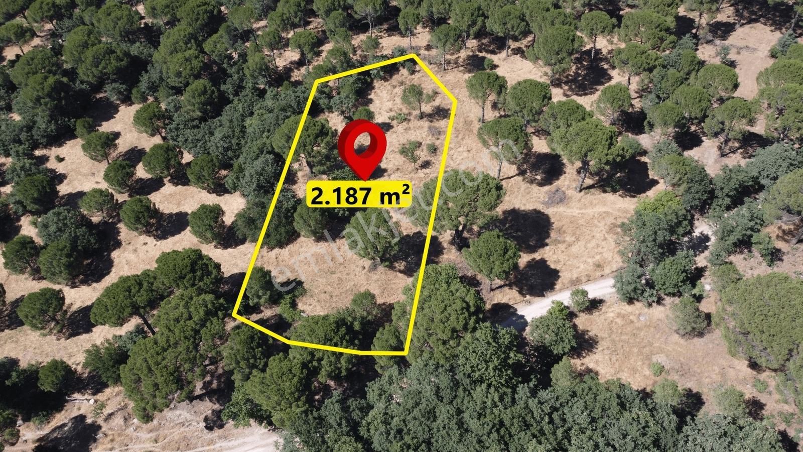 Pinus Gayrimenkul'den//kozak Merkezinde Müstakil Fırsat Arazi - Görsel 2
