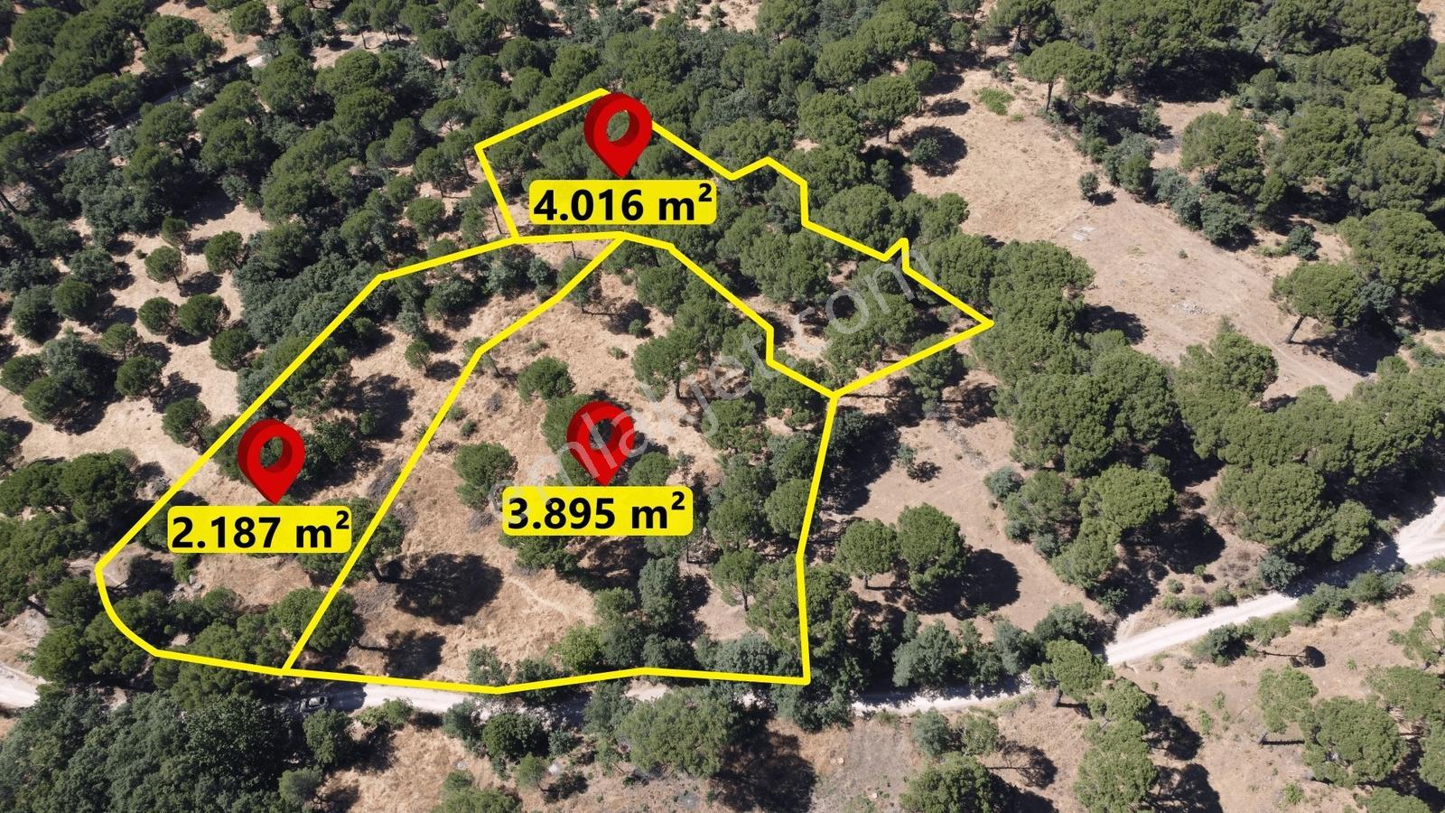 Pinus Gayrimenkul'den//kozak Merkezinde Müstakil Fırsat Arazi - Görsel 4