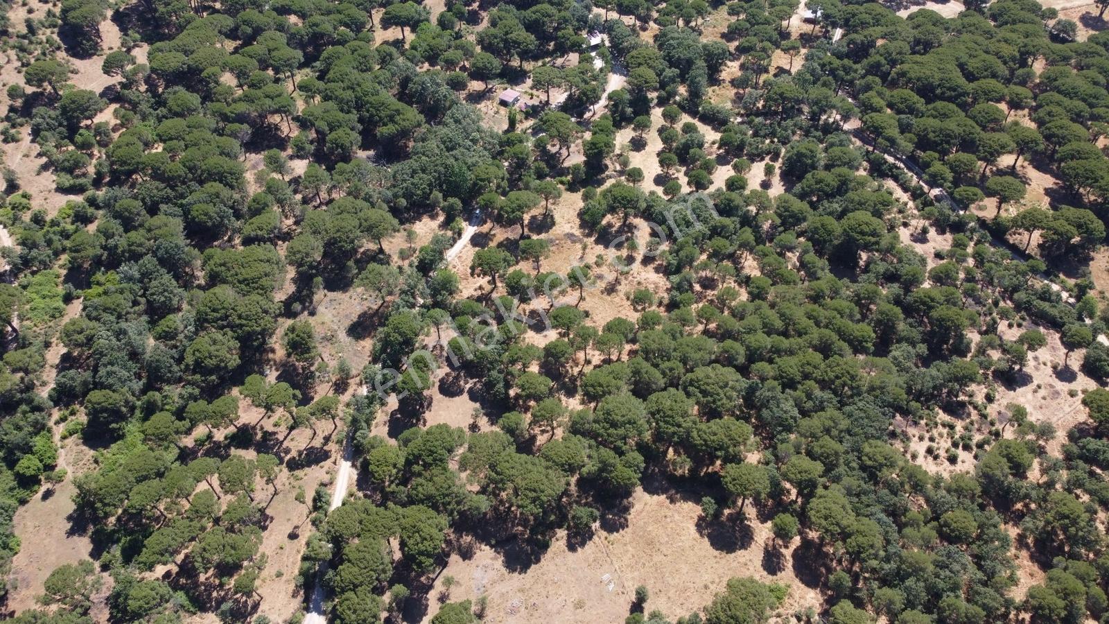 Pinus Gayrimenkul'den//kozak Merkezinde Müstakil Fırsat Arazi - Görsel 8